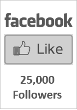 carcleanz facebook likes